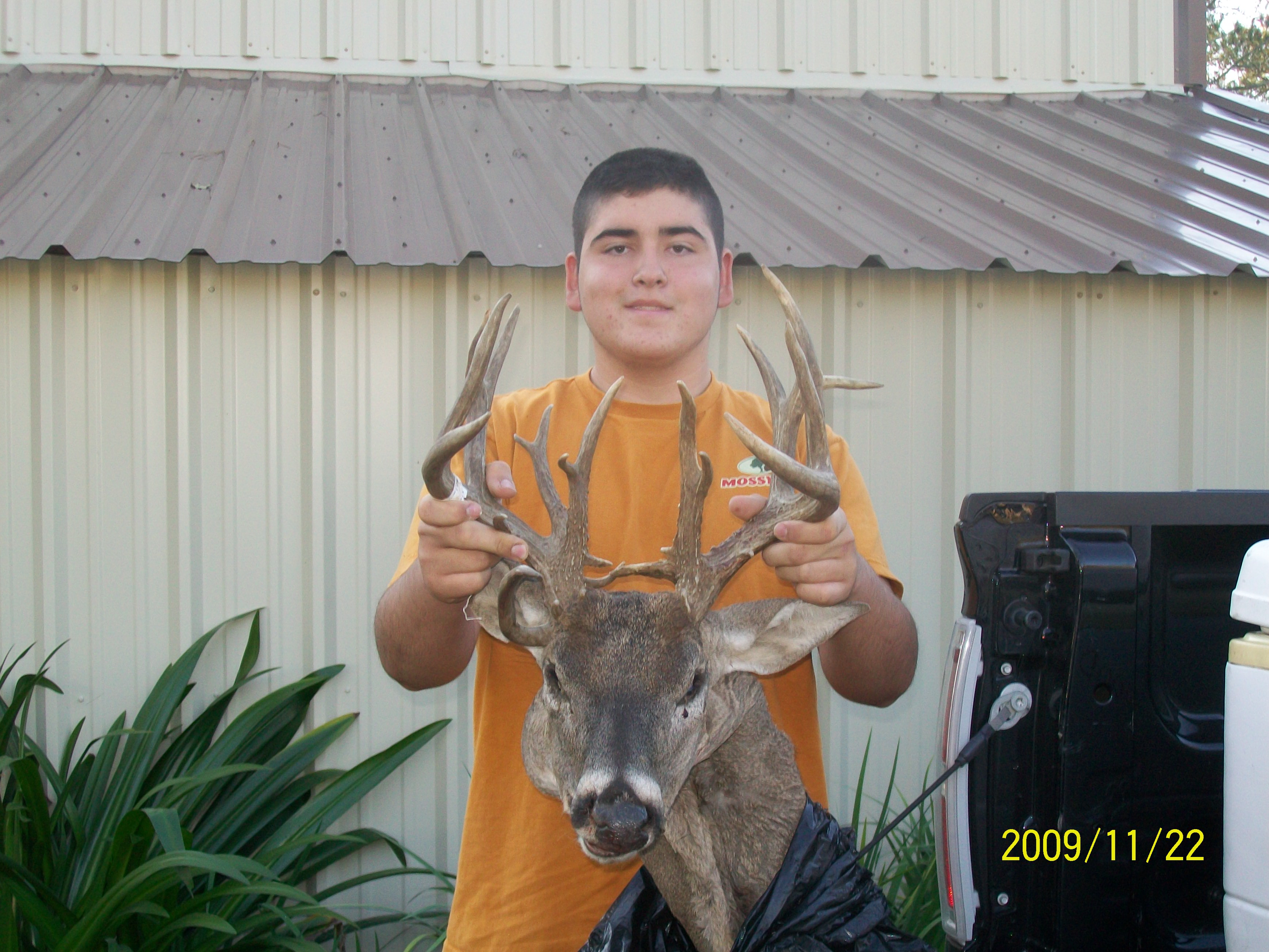 Links Jackson's Deer Processing Crosby Texas Sausage Hogs Exotic Houston